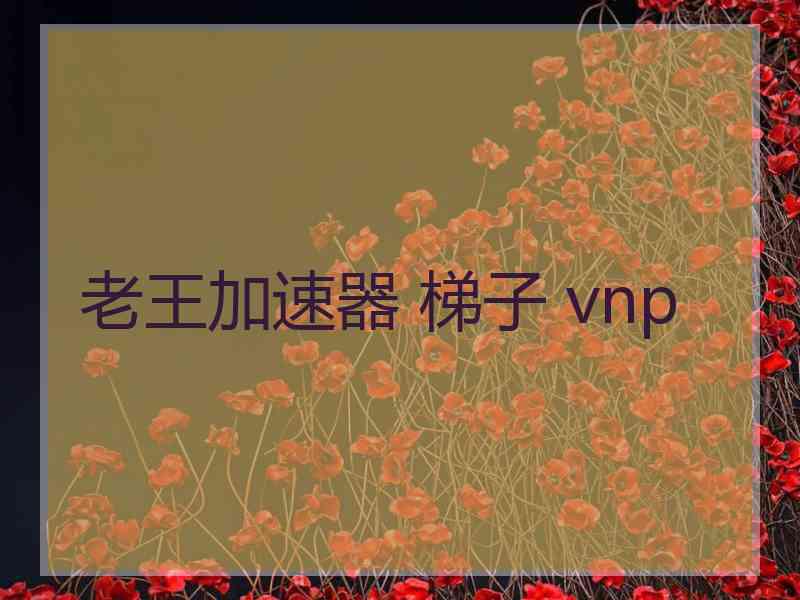 老王加速器 梯子 vnp